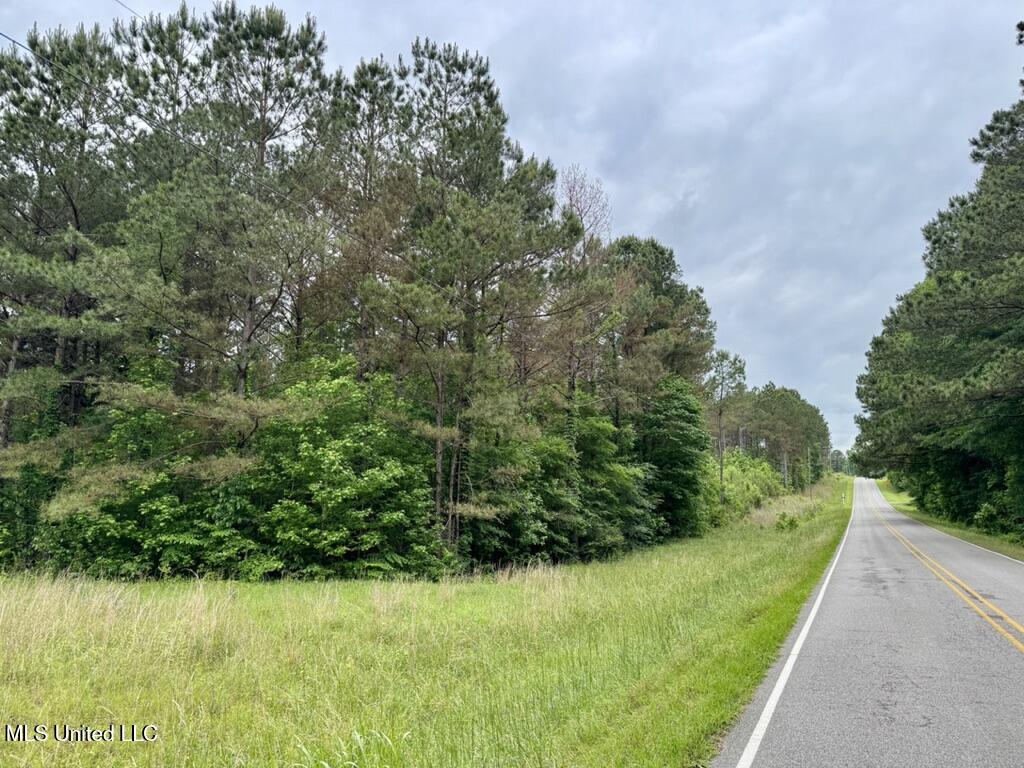 0020 Mount Carmel Road Property Photo 17