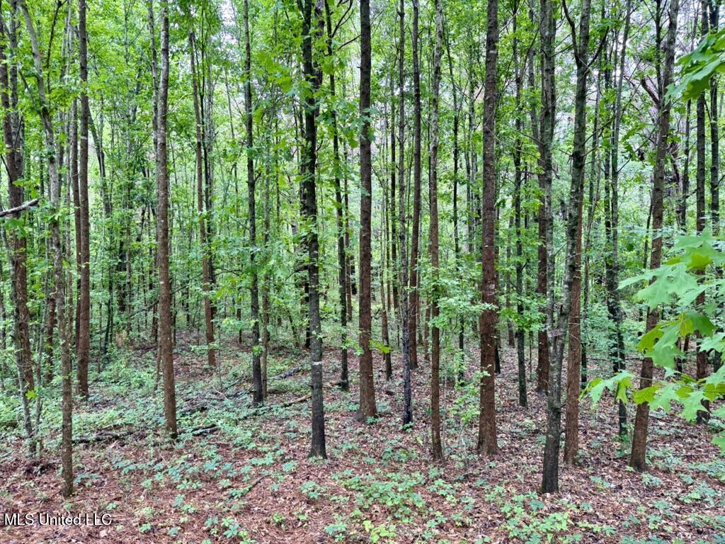 0020 Mount Carmel Road Property Photo 19