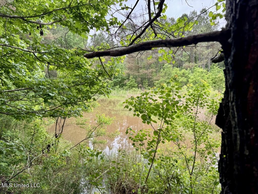 0020 Mount Carmel Road Property Photo 21