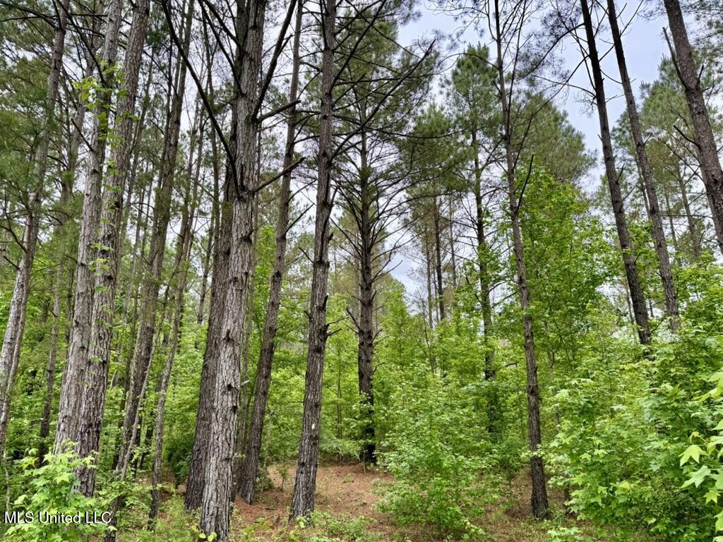 0020 Mount Carmel Road Property Photo 23