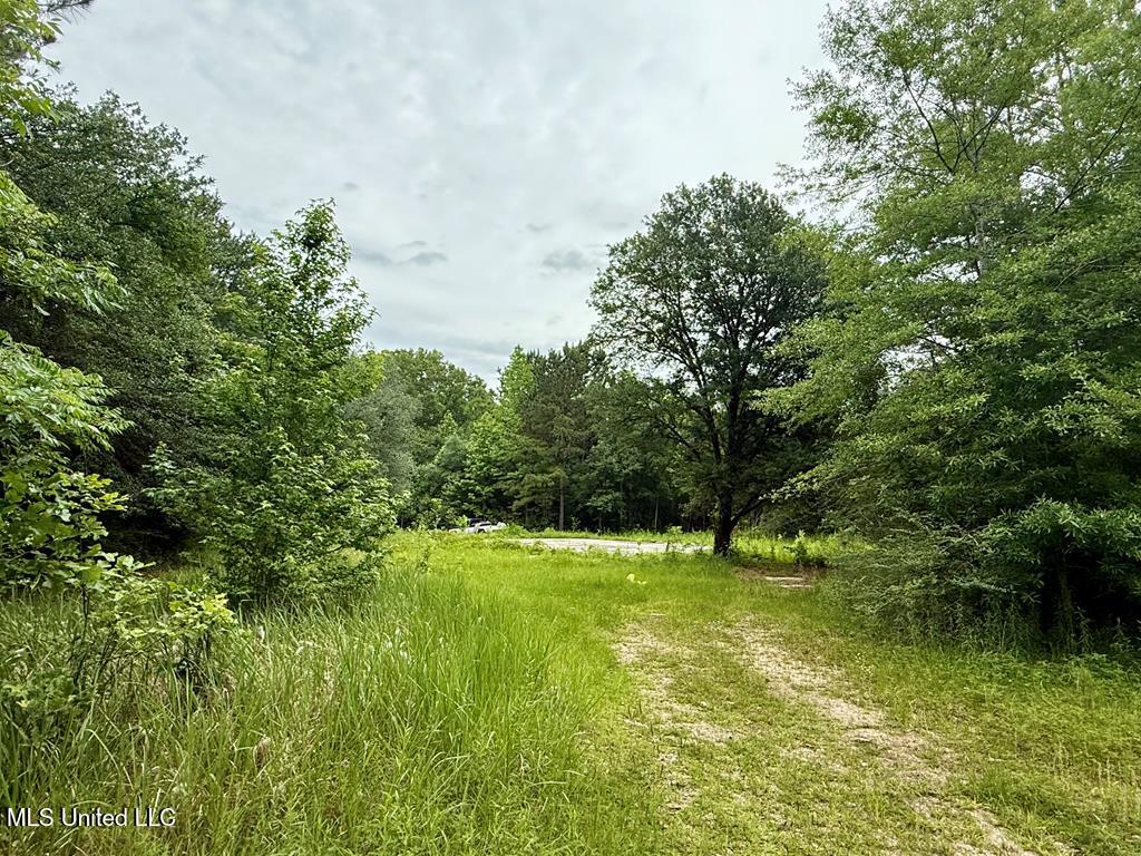6844 Hwy 43 N Property Photo 2