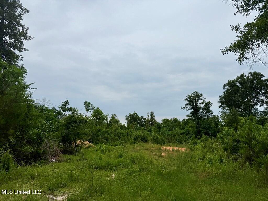 6844 Hwy 43 N Property Photo 4