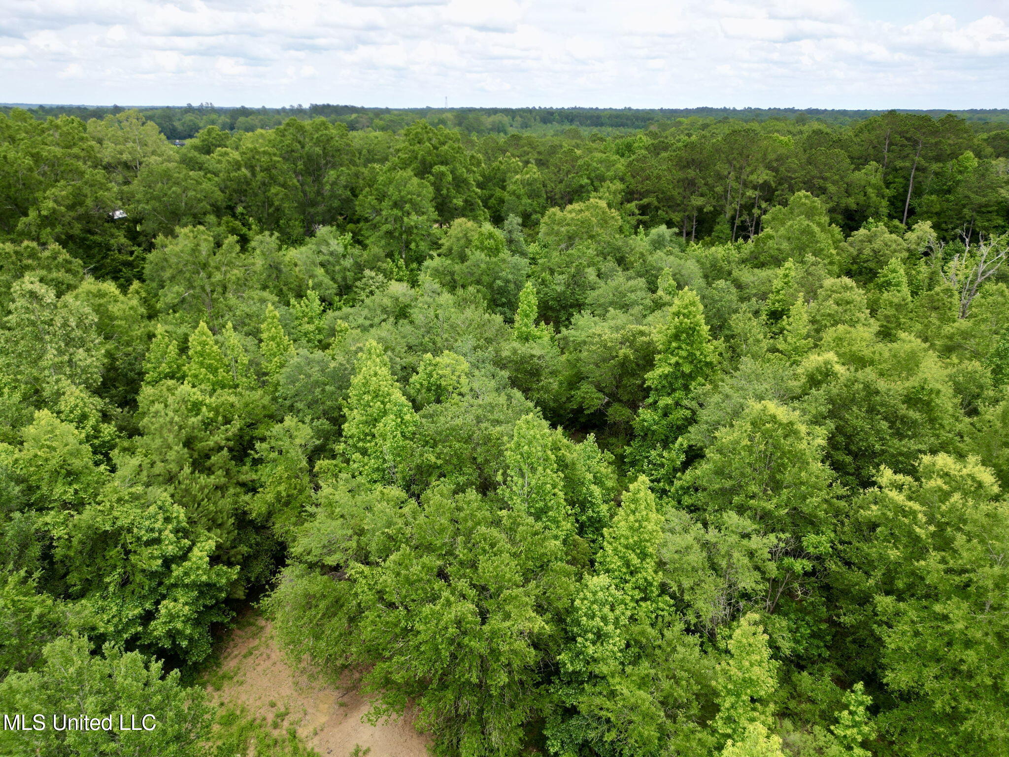 6844 Hwy 43 N Property Photo 6