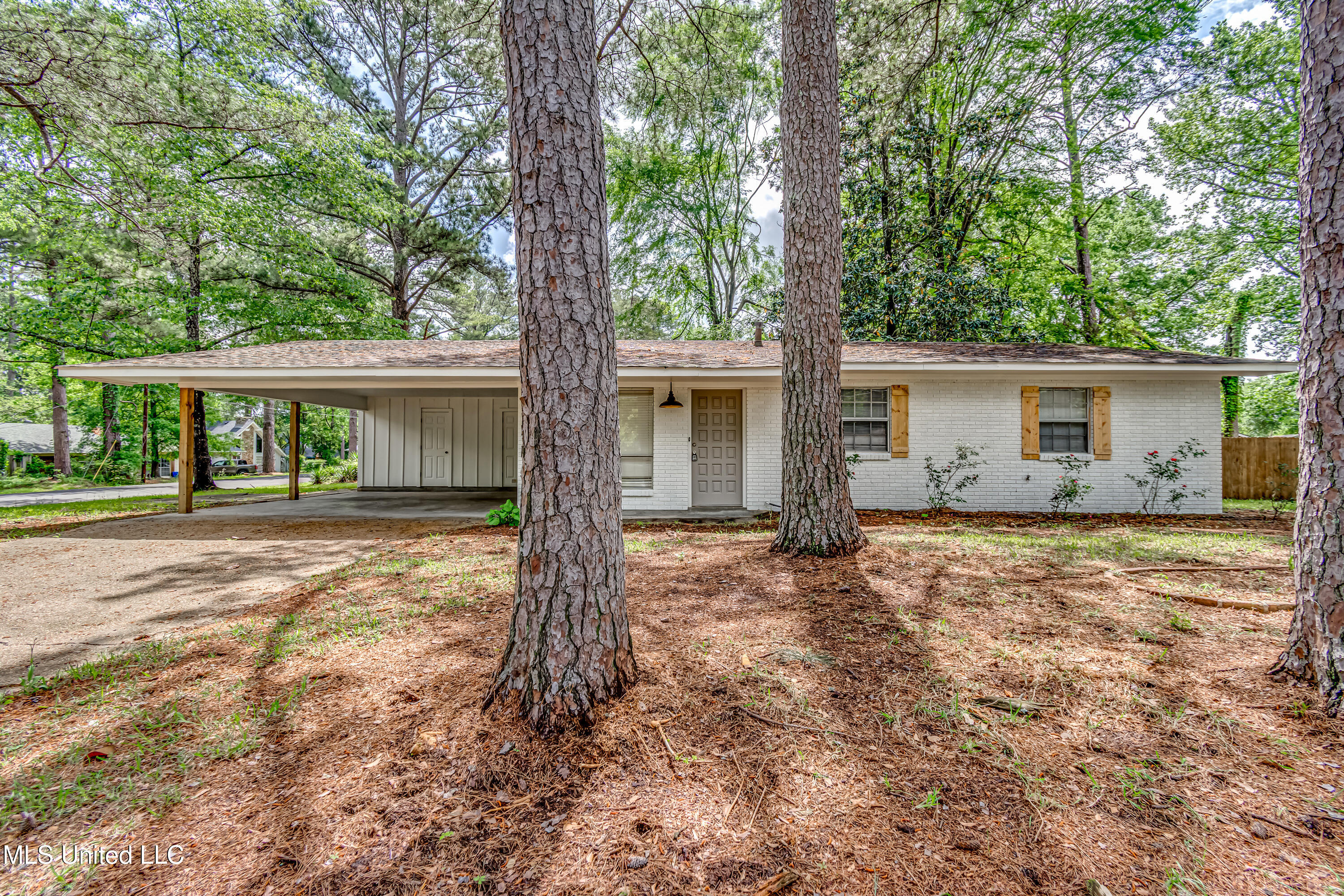 204 Turtle Creek Drive Property Photo 3