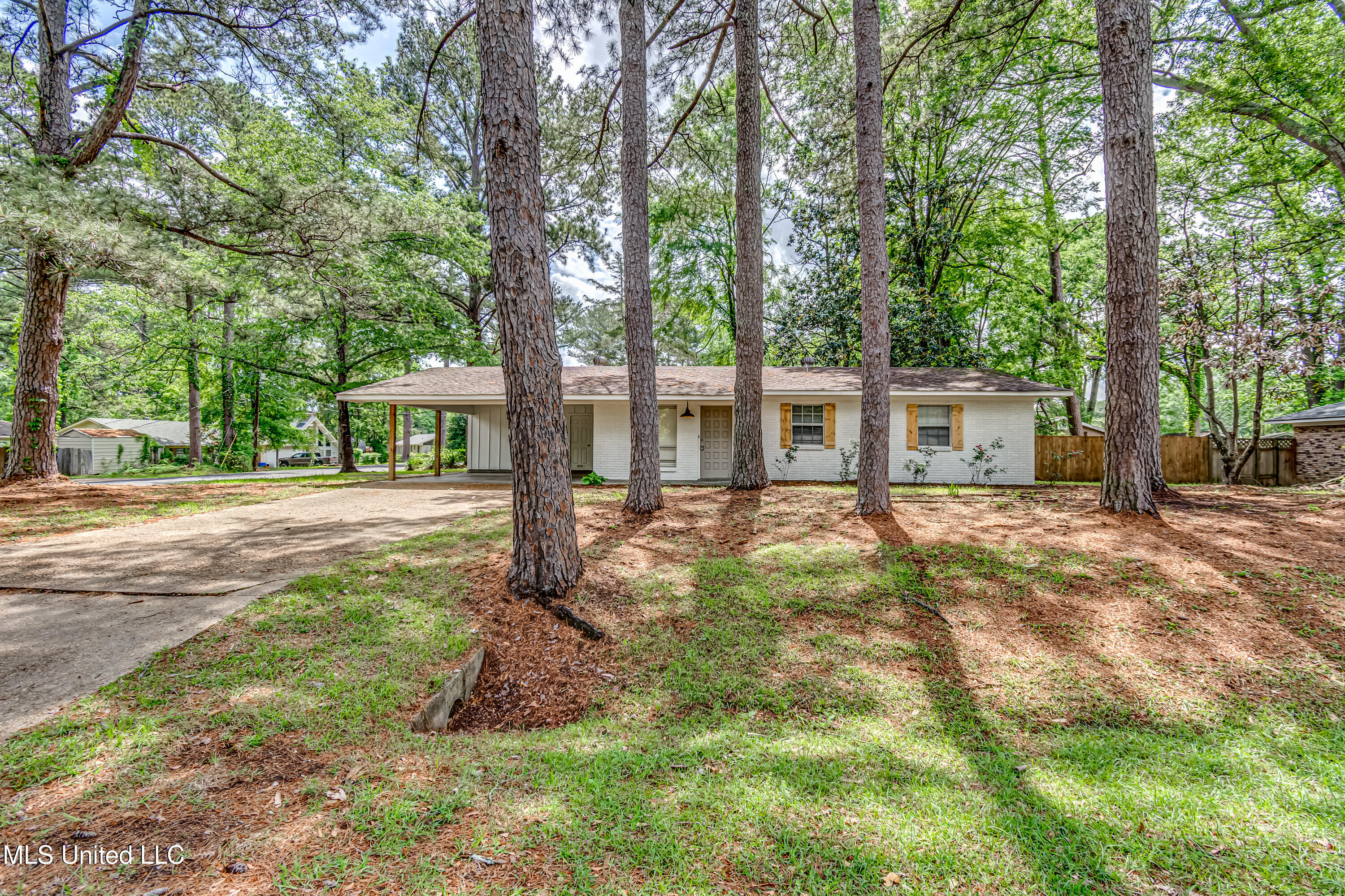 204 Turtle Creek Drive Property Photo 4