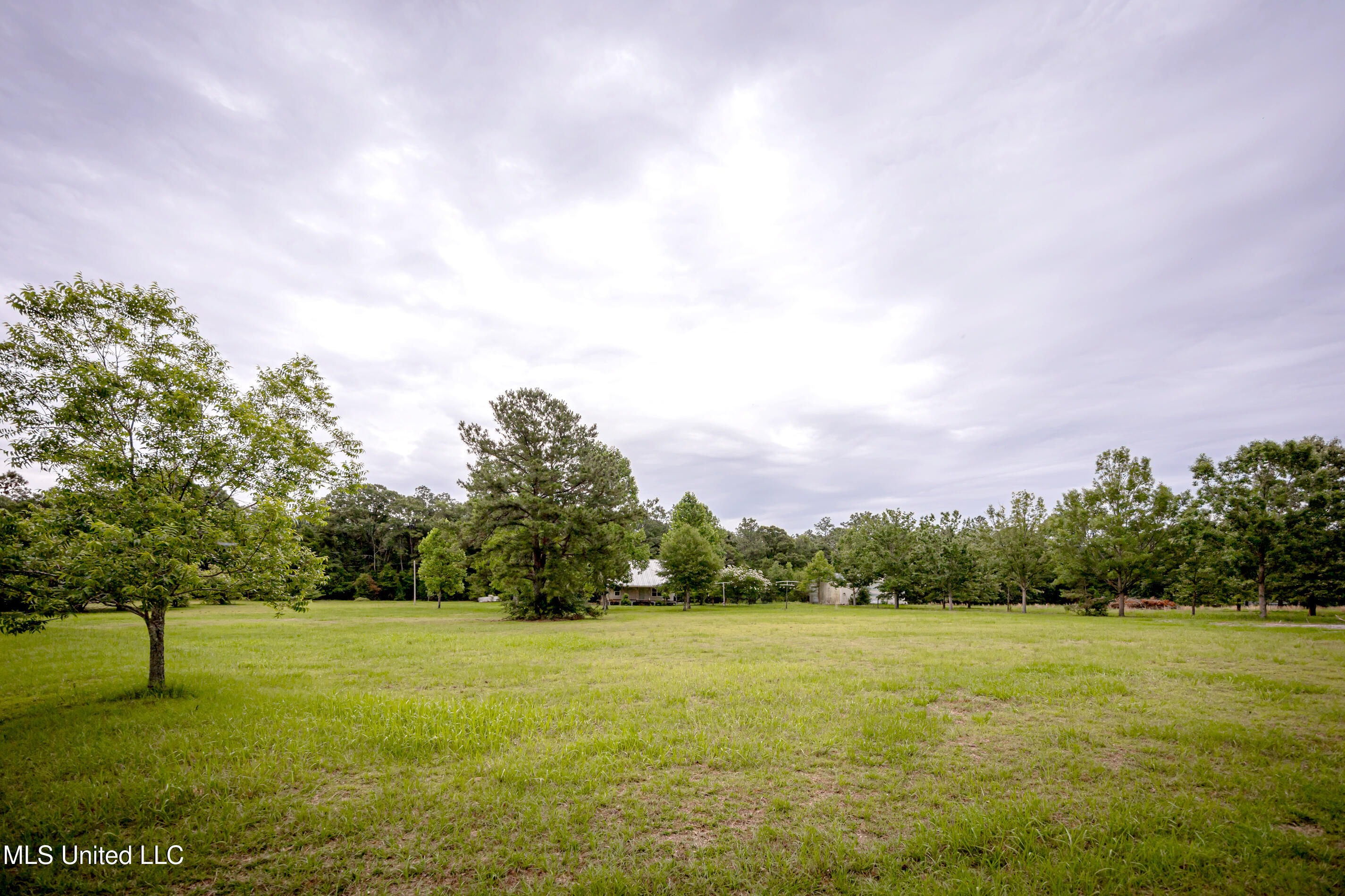 134 Lynne Lane Property Photo 51