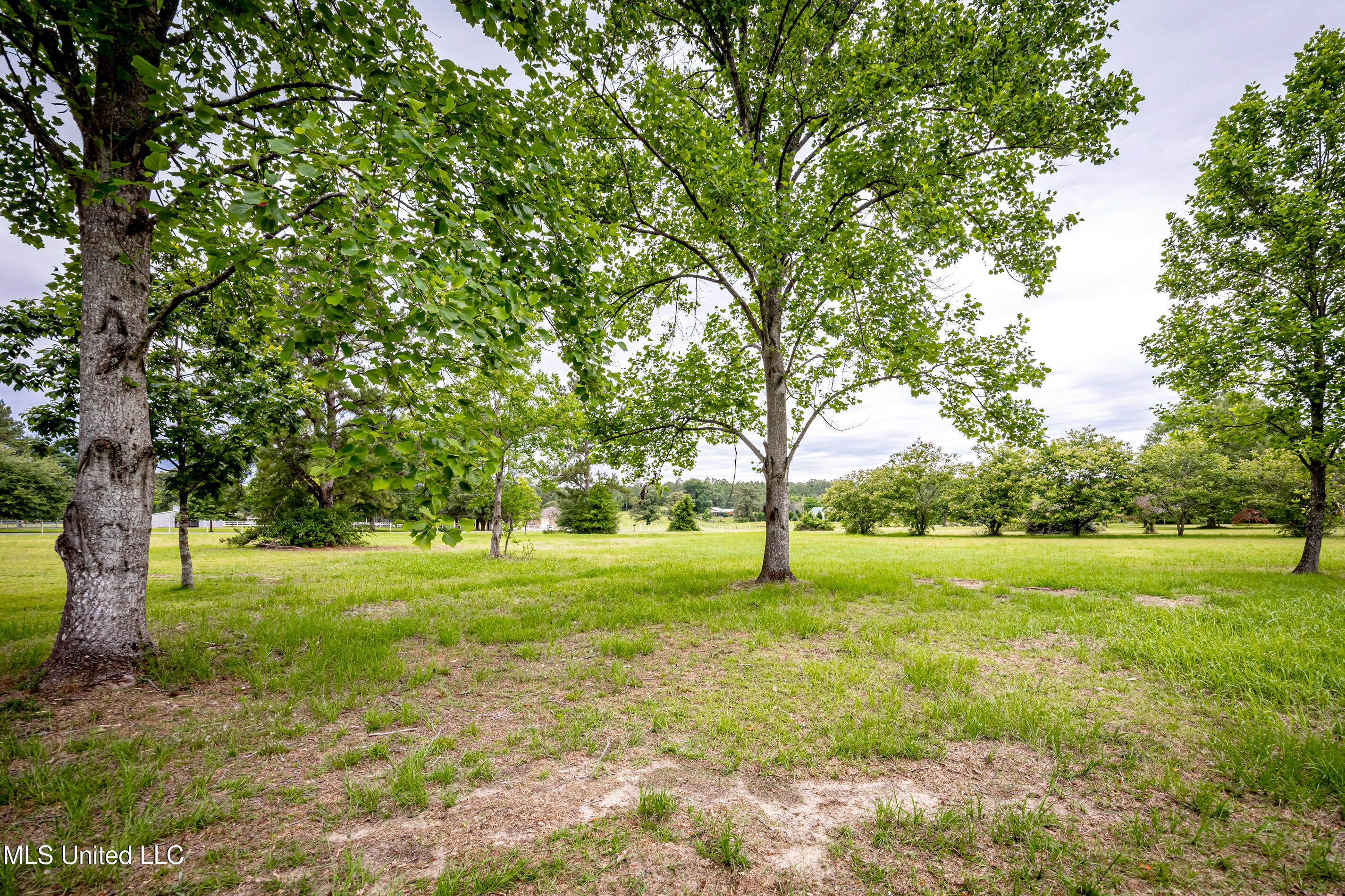 134 Lynne Lane Property Photo 60