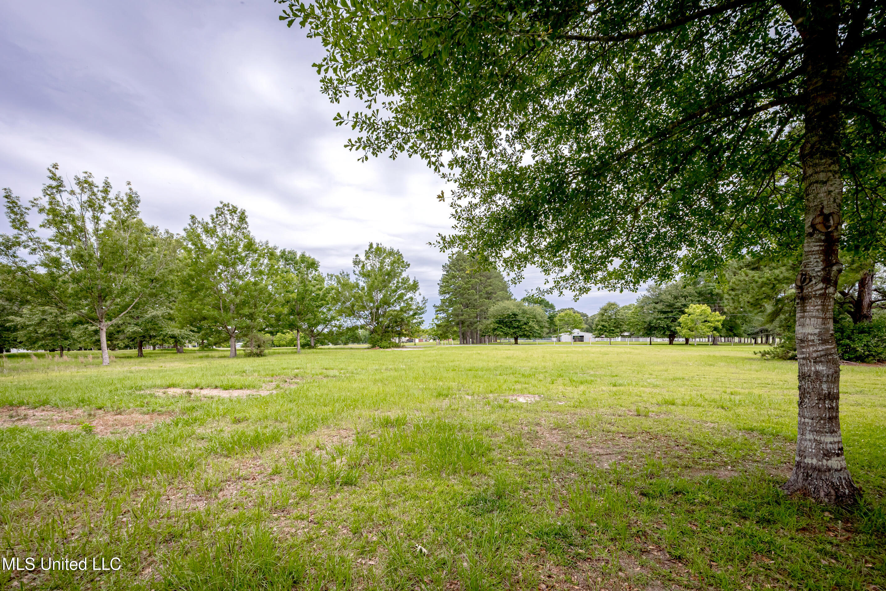 134 Lynne Lane Property Photo 61