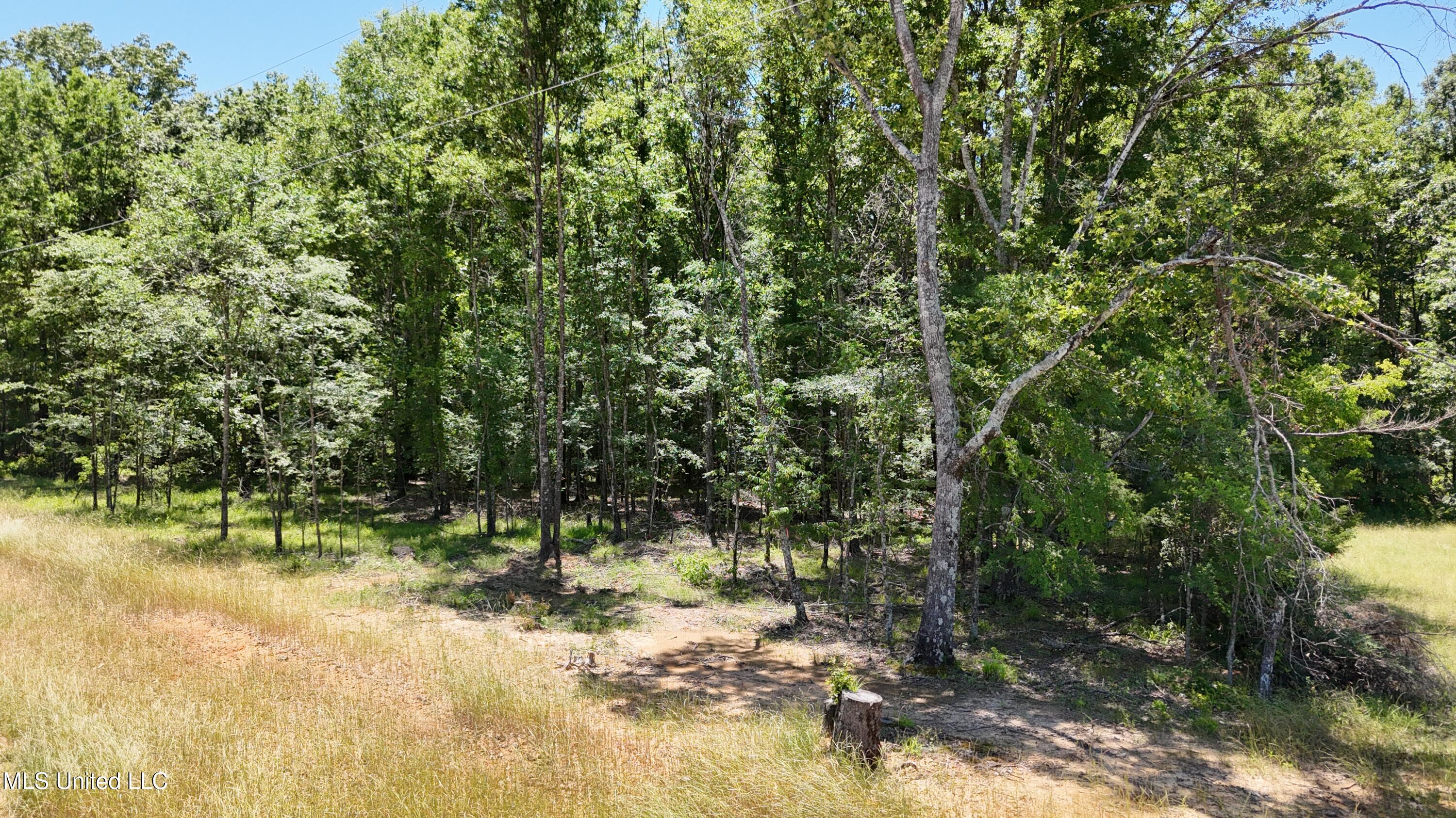 Stout Meadows Lane Property Photo 2