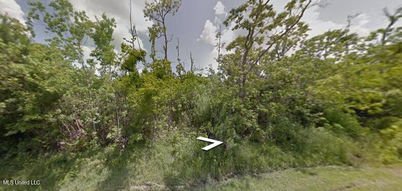 0 Clara Street Property Photo 4