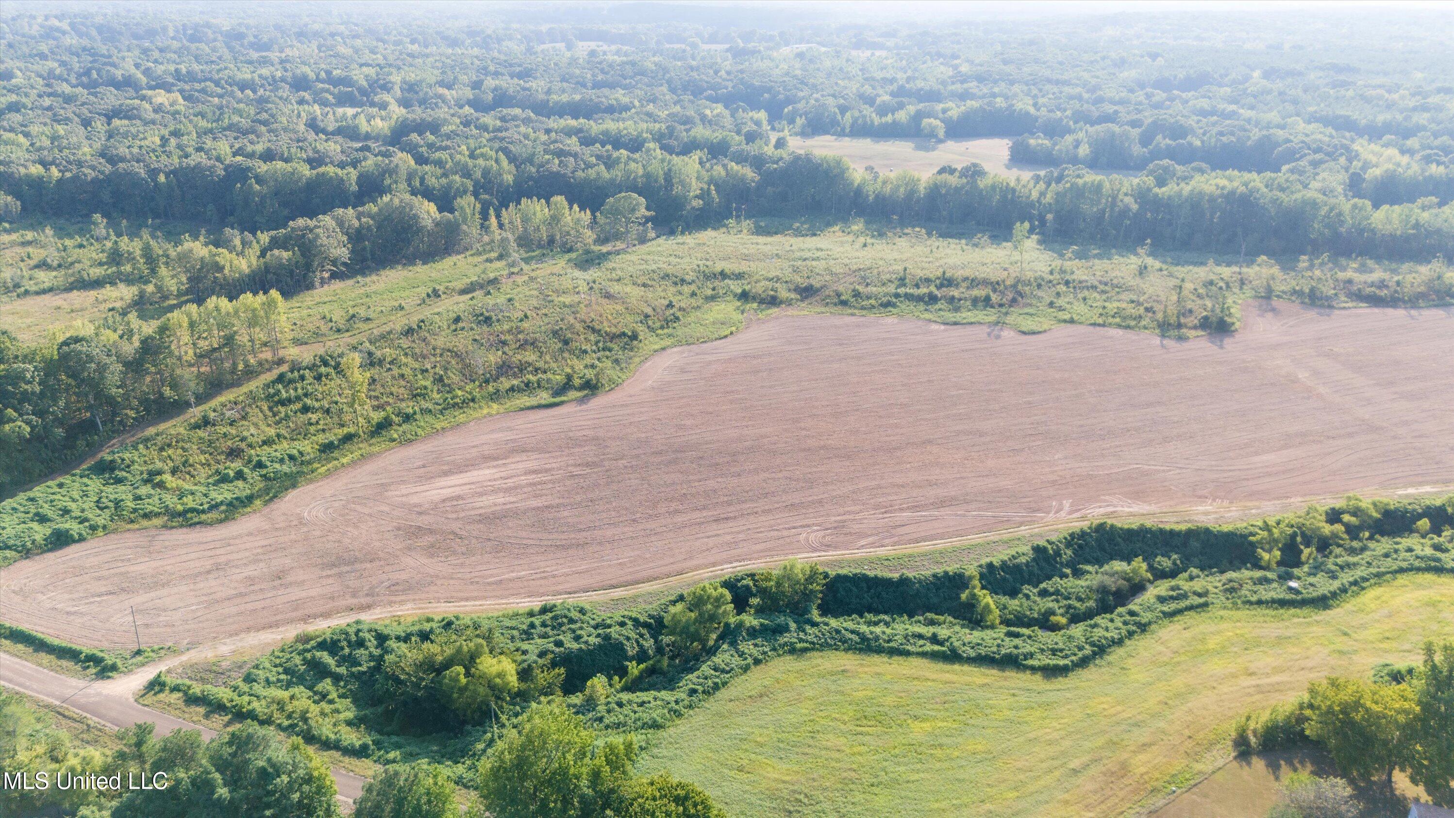 13.73 Ac Pearl Smith Road Property Photo 5