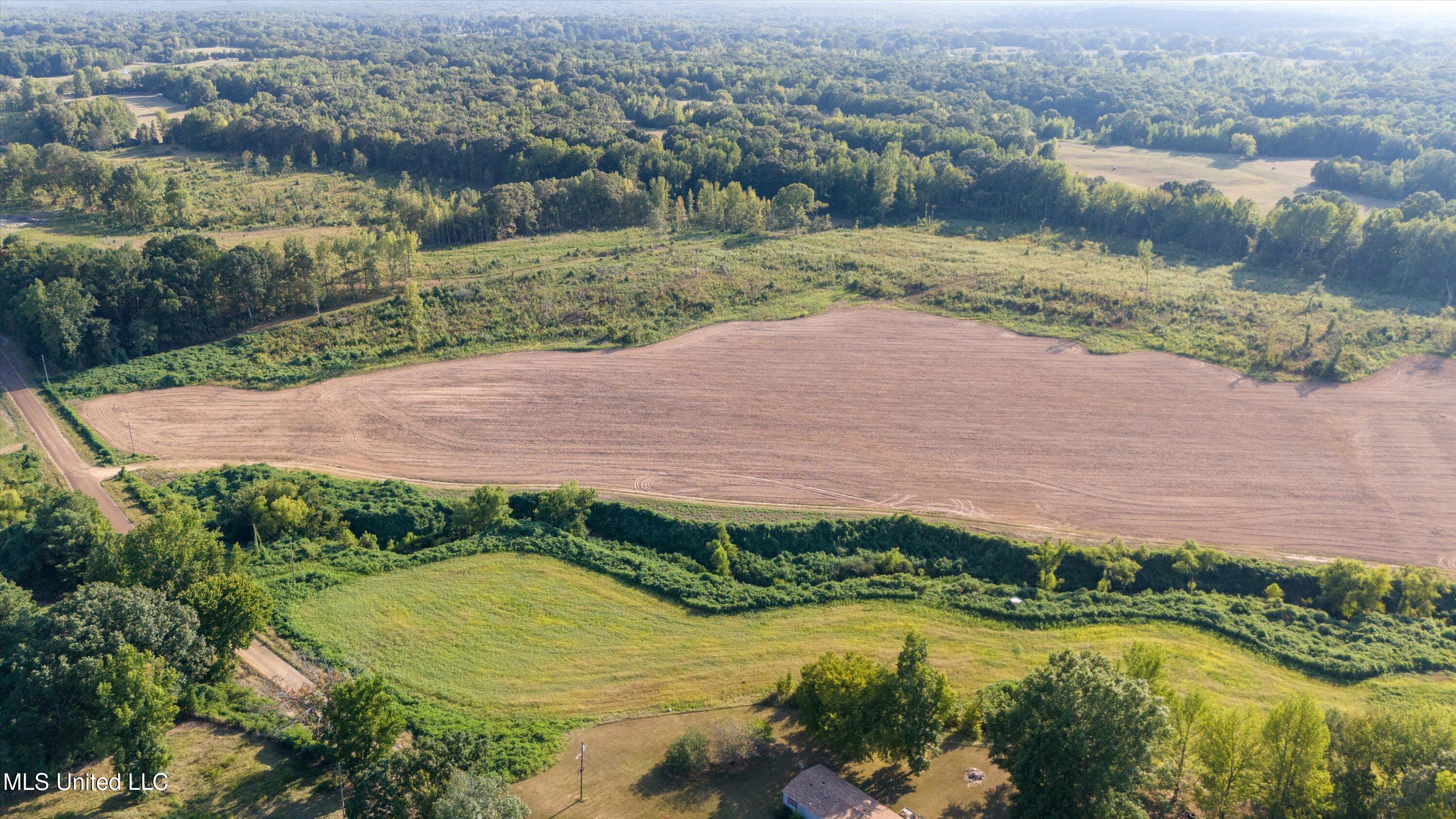 13.73 Ac Pearl Smith Road Property Photo 6