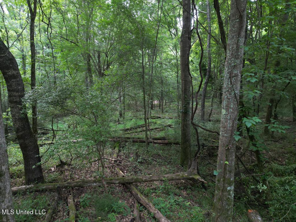 3 Old Hamburg Roxie Road Property Photo 1
