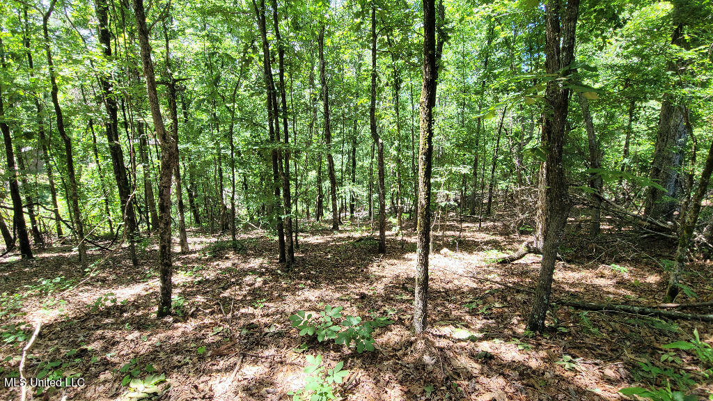 0 Rowsey Road Property Photo 4