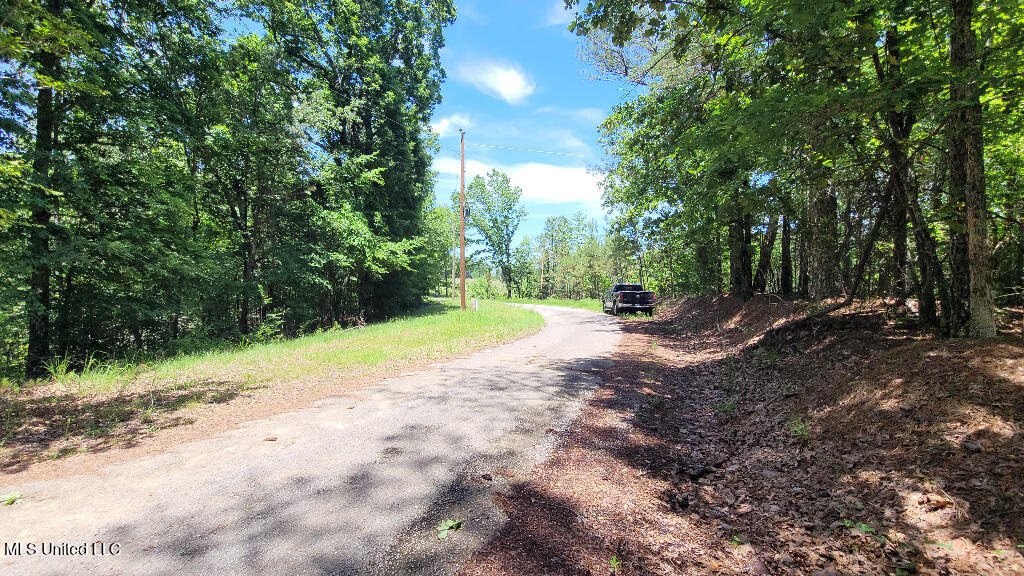0 Rowsey Road Property Photo 9