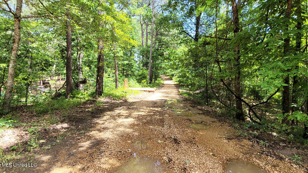 0 Rowsey Road Property Photo 11