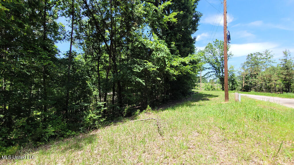 0 Rowsey Road Property Photo 14