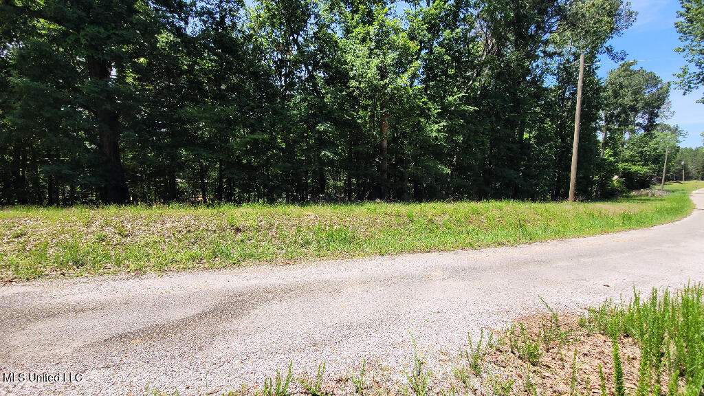 0 Rowsey Road Property Photo 15