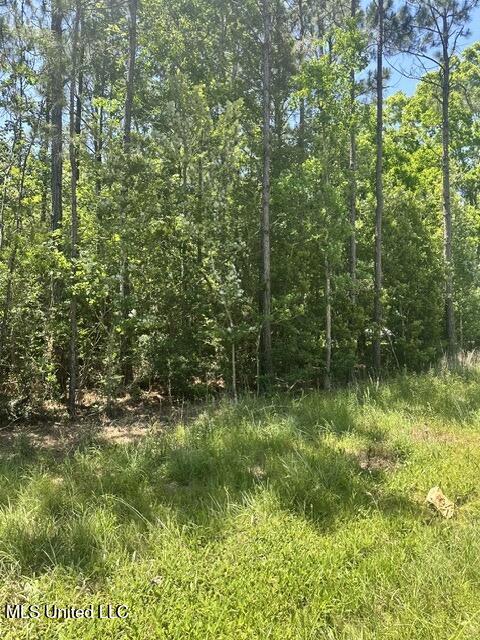 7125 Bayside Drive Property Photo 5