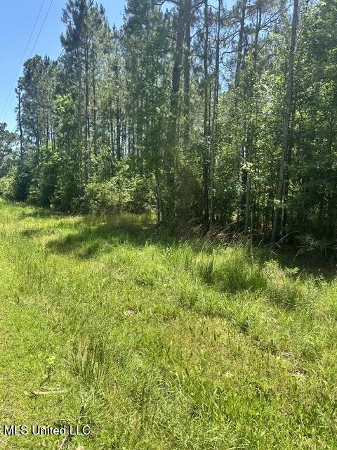 7125 Bayside Drive Property Photo 7