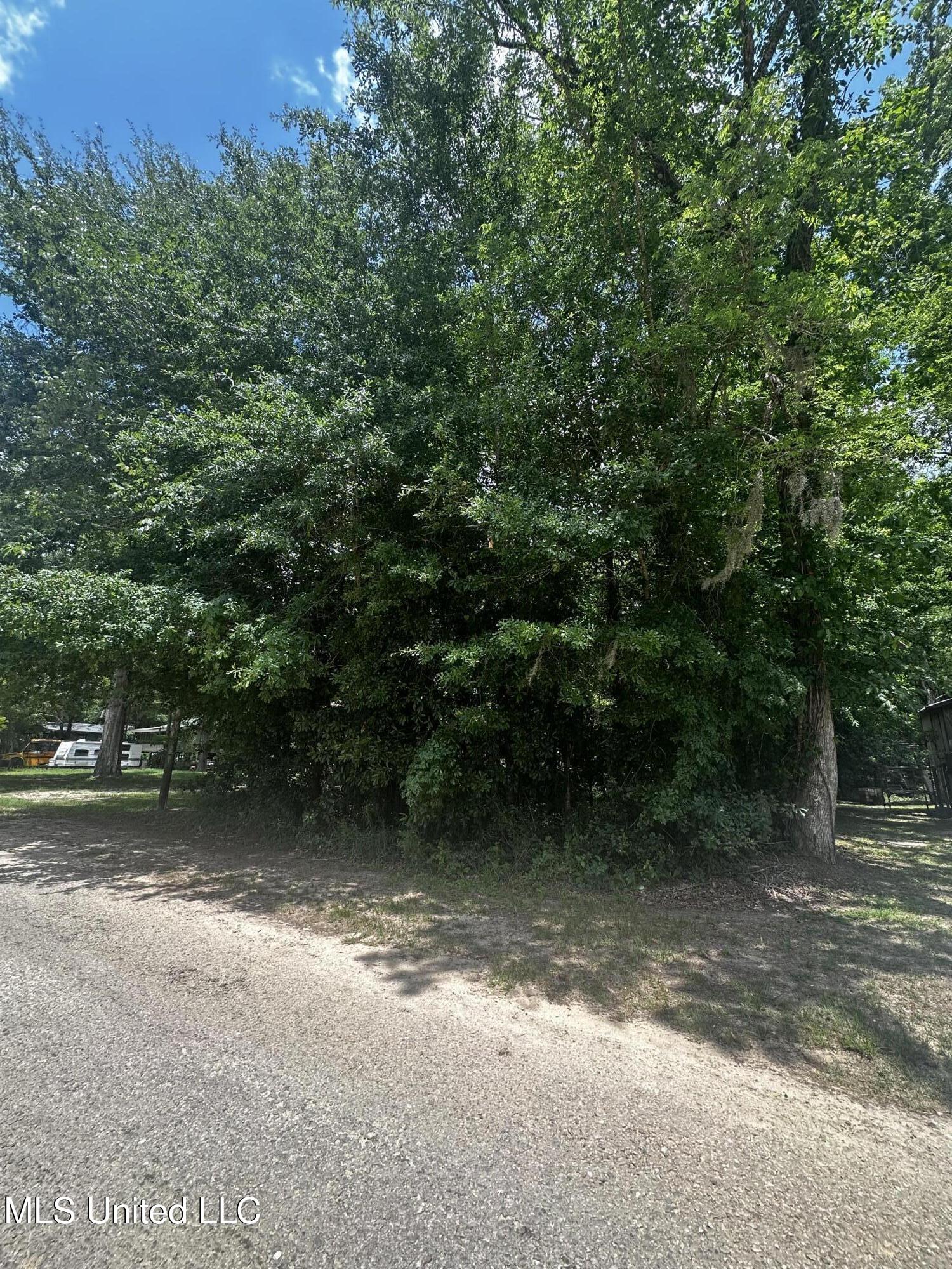 Nsn Plum Bluff Drive Property Photo 2