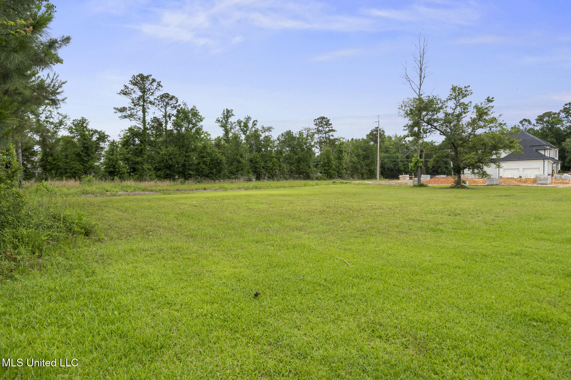 00 Savannah Estates Boulevard Property Photo 1