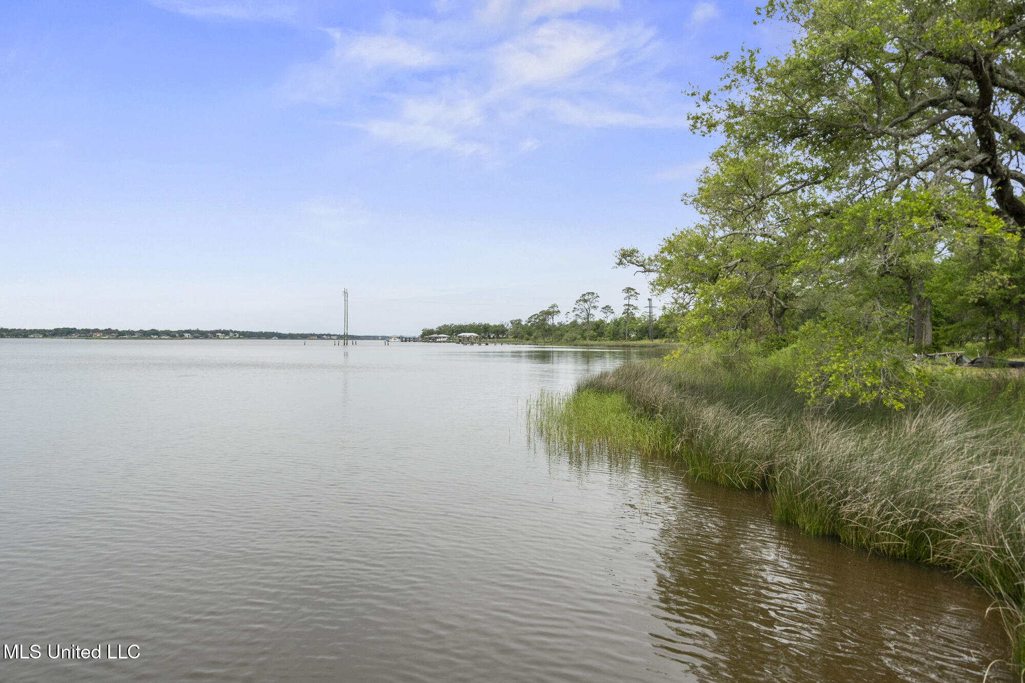 00 Savannah Estates Boulevard Property Photo 9