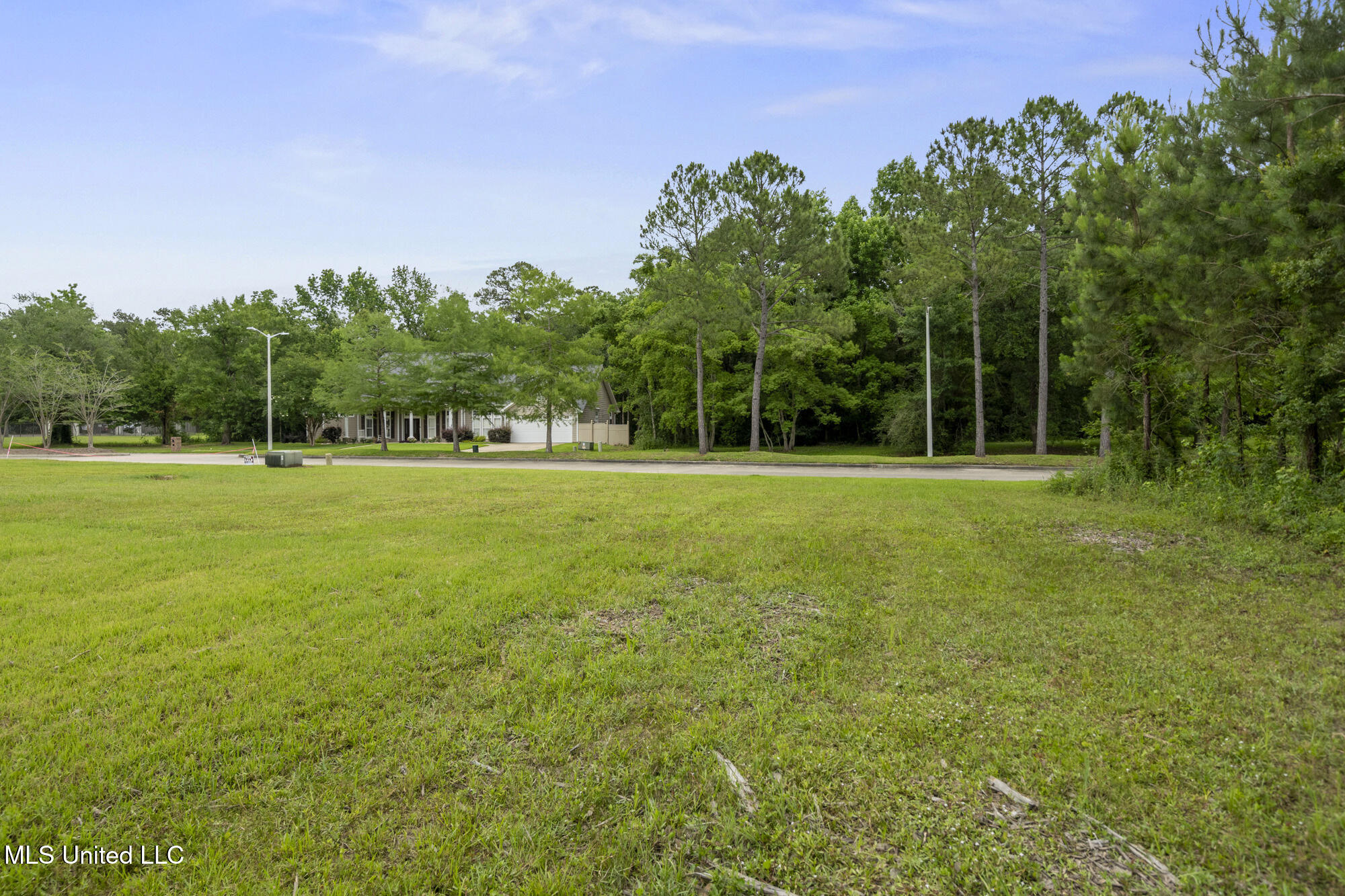 Savannah Estates Boulevard Property Photo 6