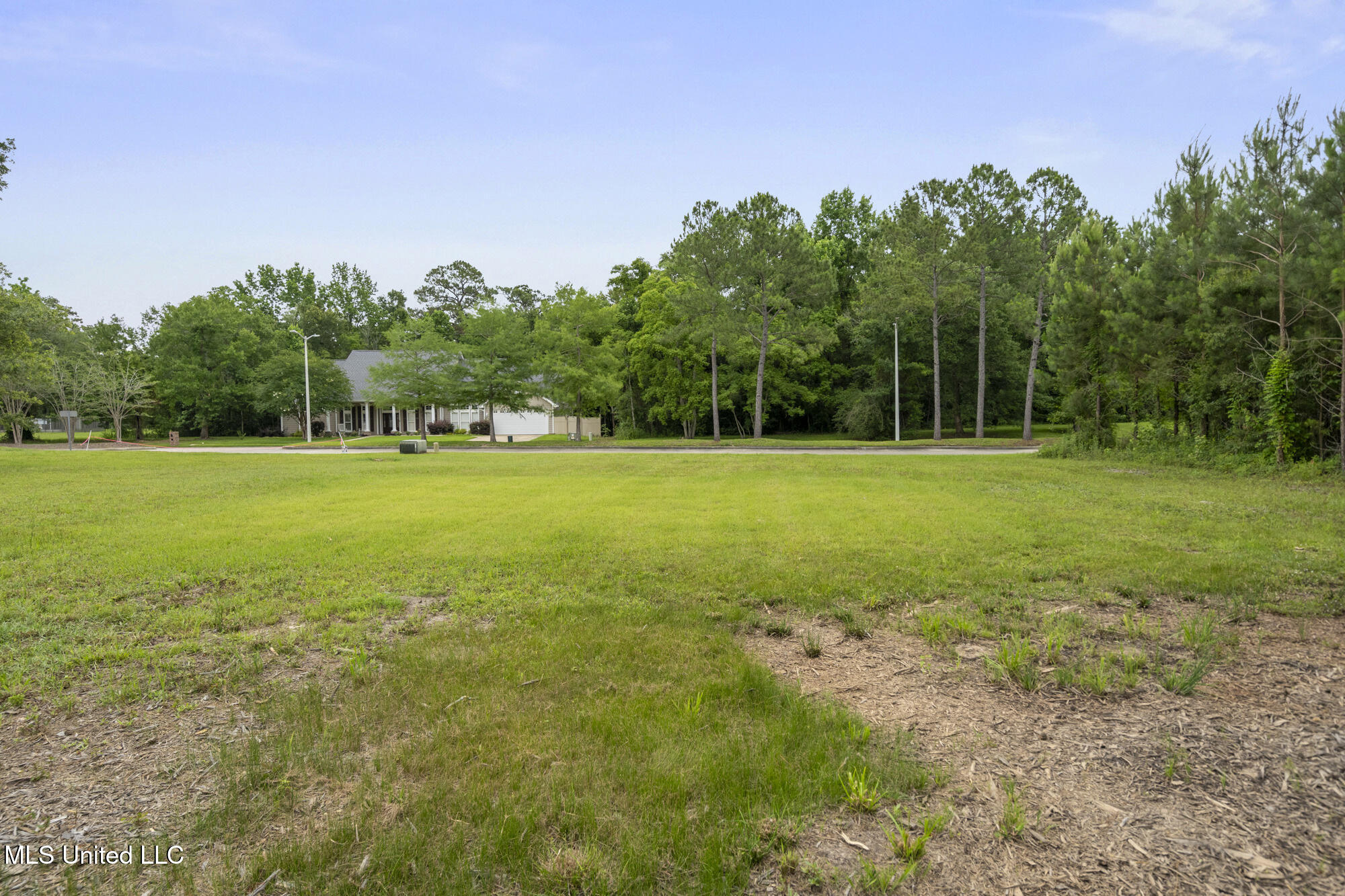 Savannah Estates Boulevard Property Photo 7