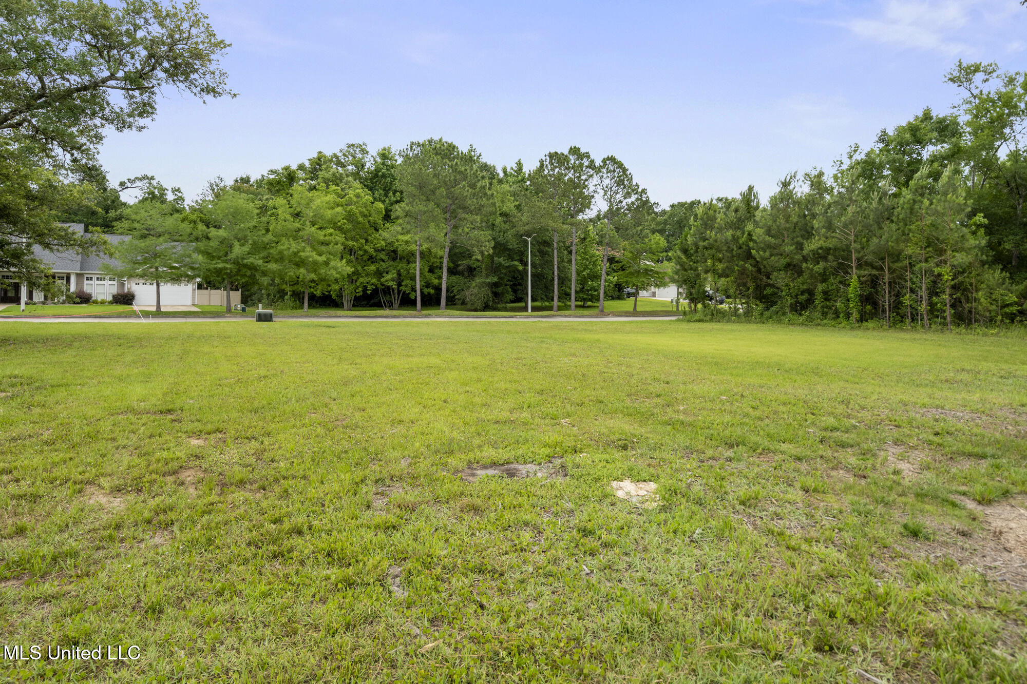 Savannah Estates Boulevard Property Photo 8