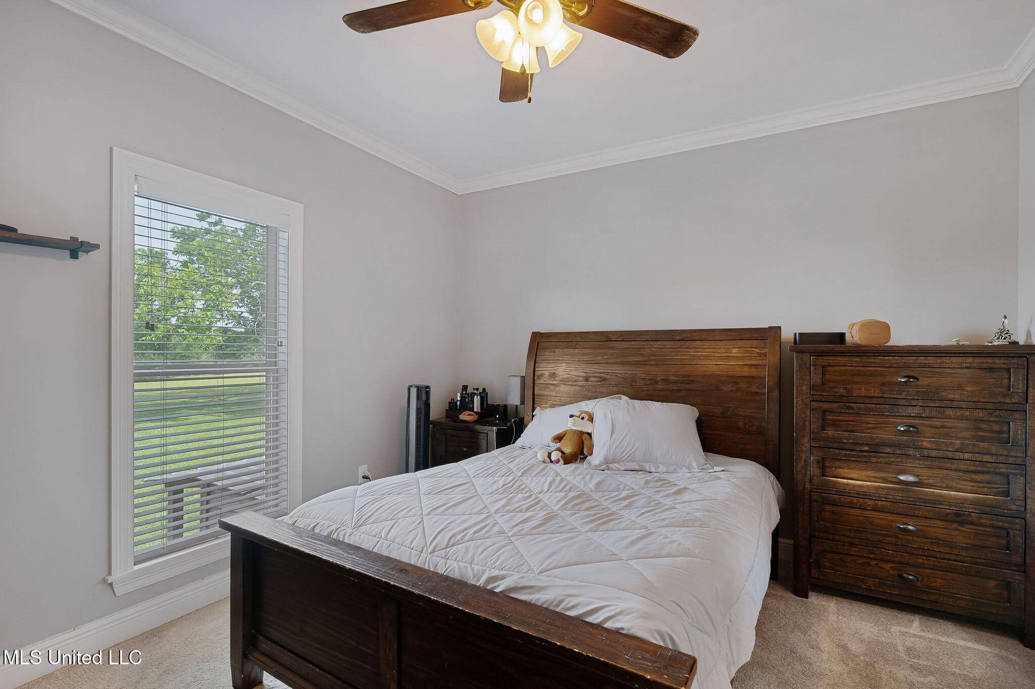 446 Newman Camp Road Property Photo 38