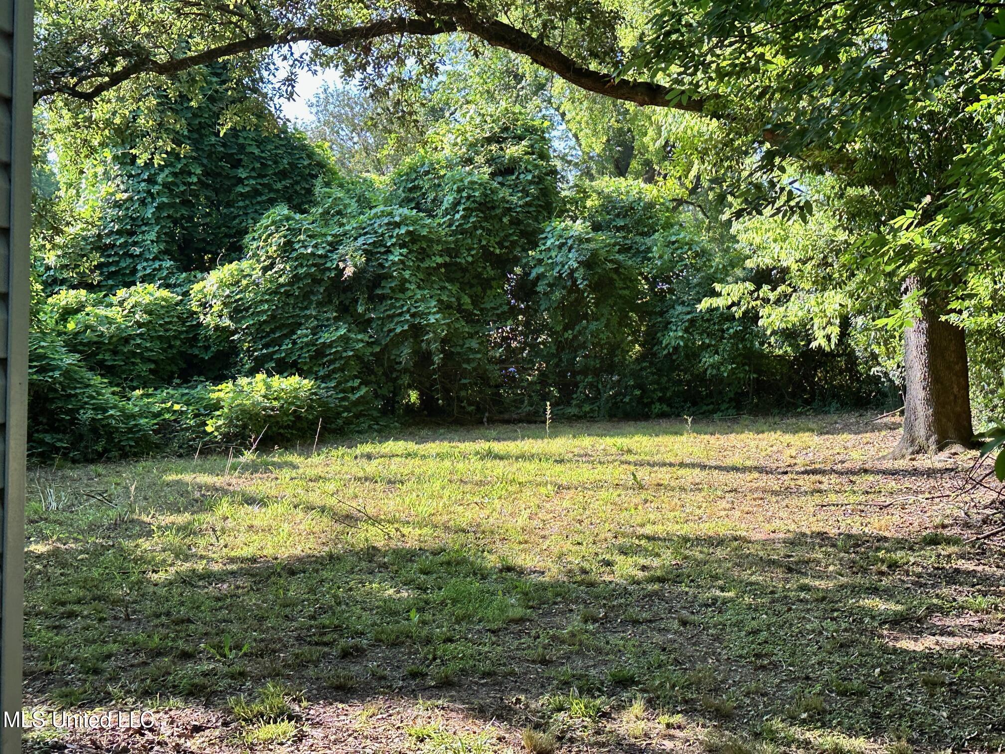 103 Lasalle Street Property Photo 3