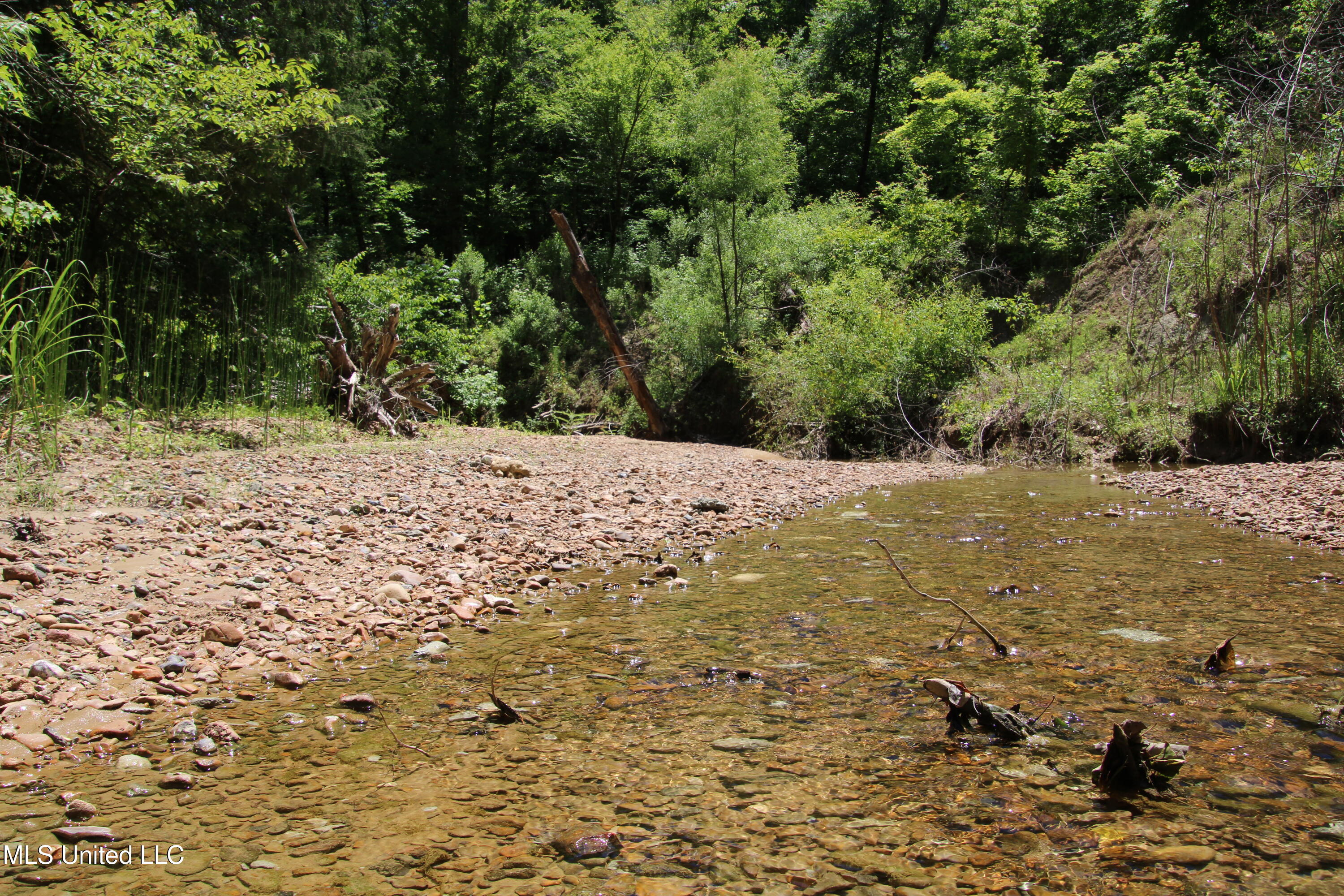 Perry Creek Road Road Property Photo 1