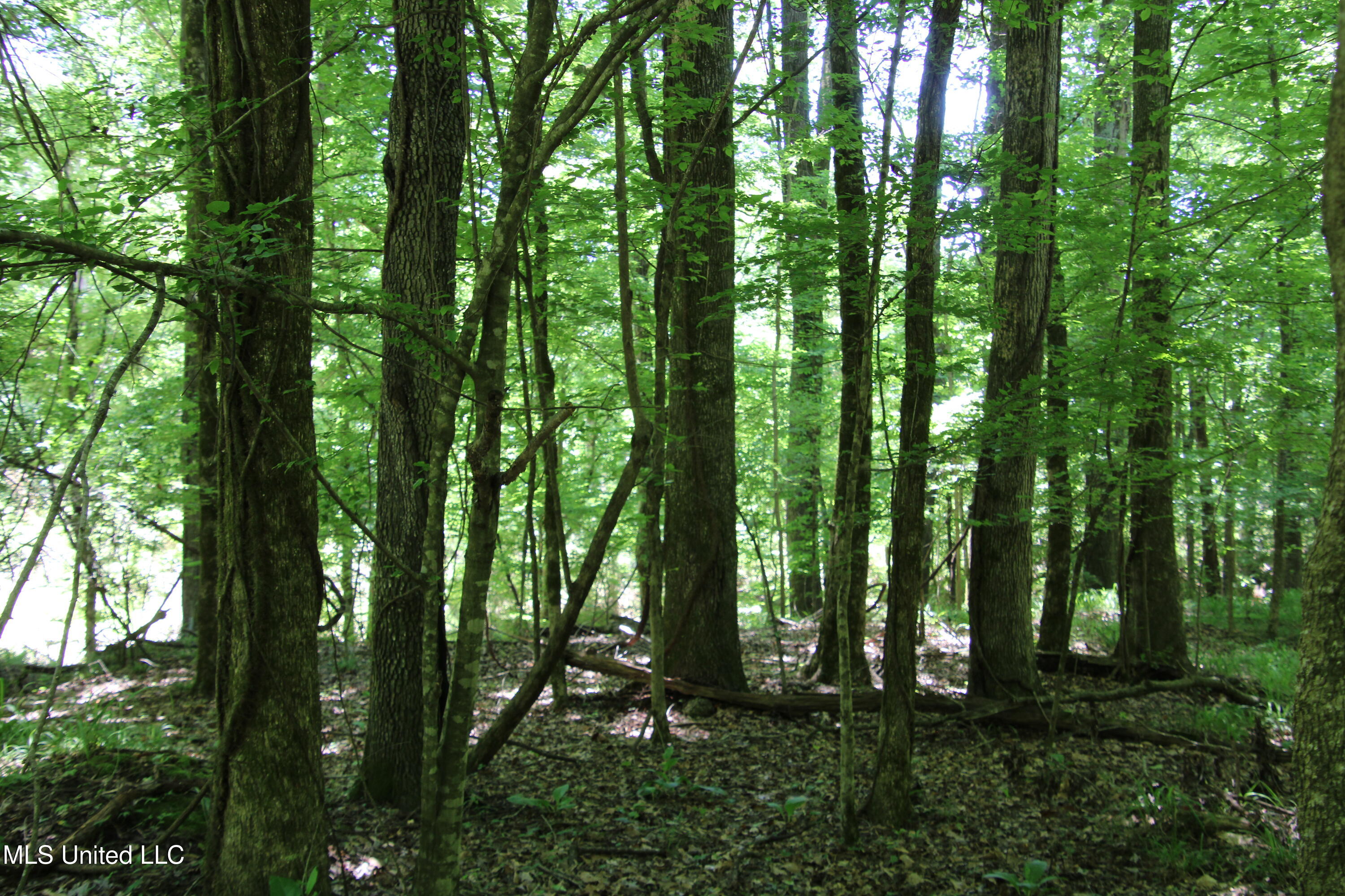 Perry Creek Road Property Photo 2