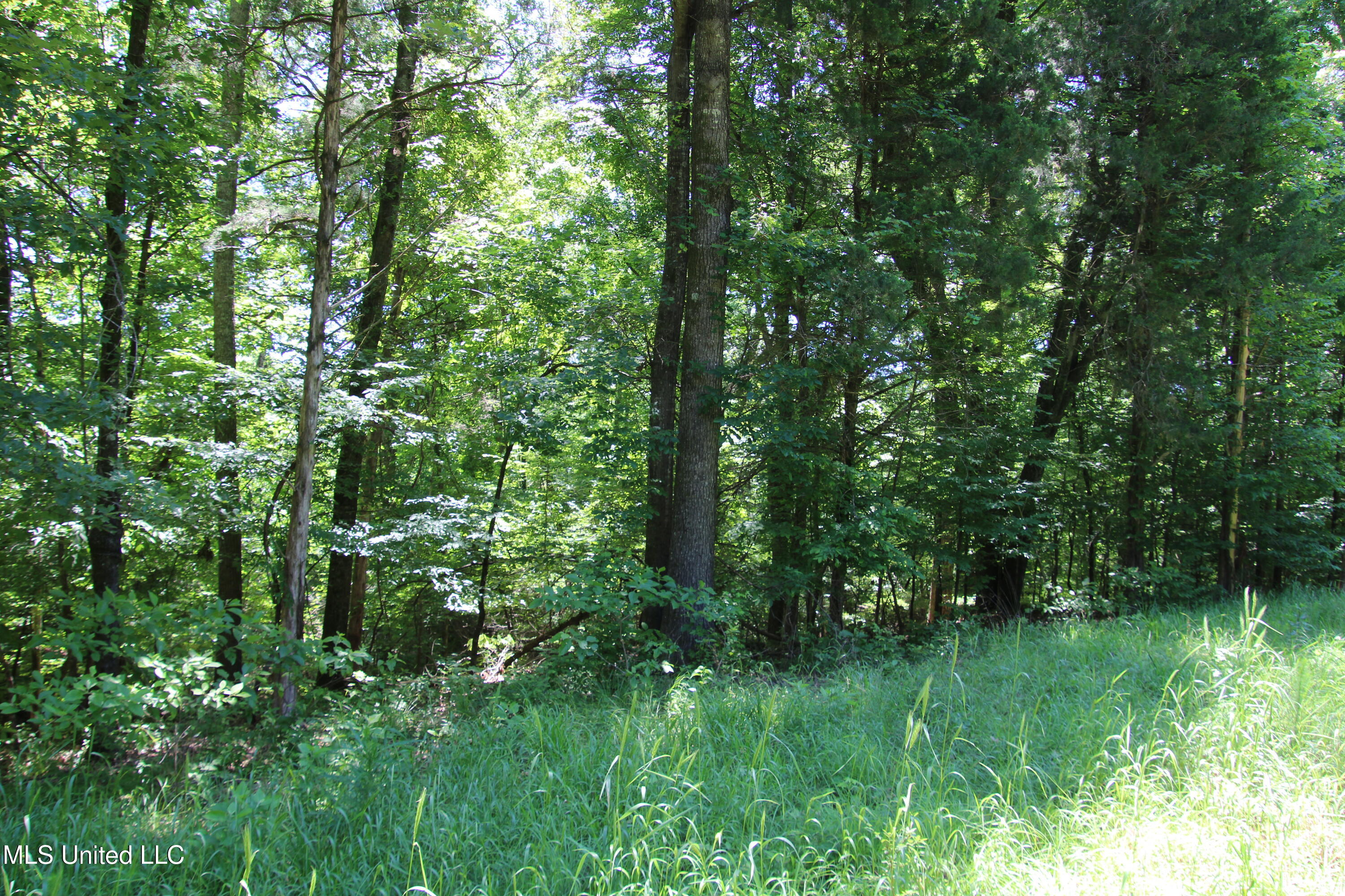 Perry Creek Road Property Photo 3