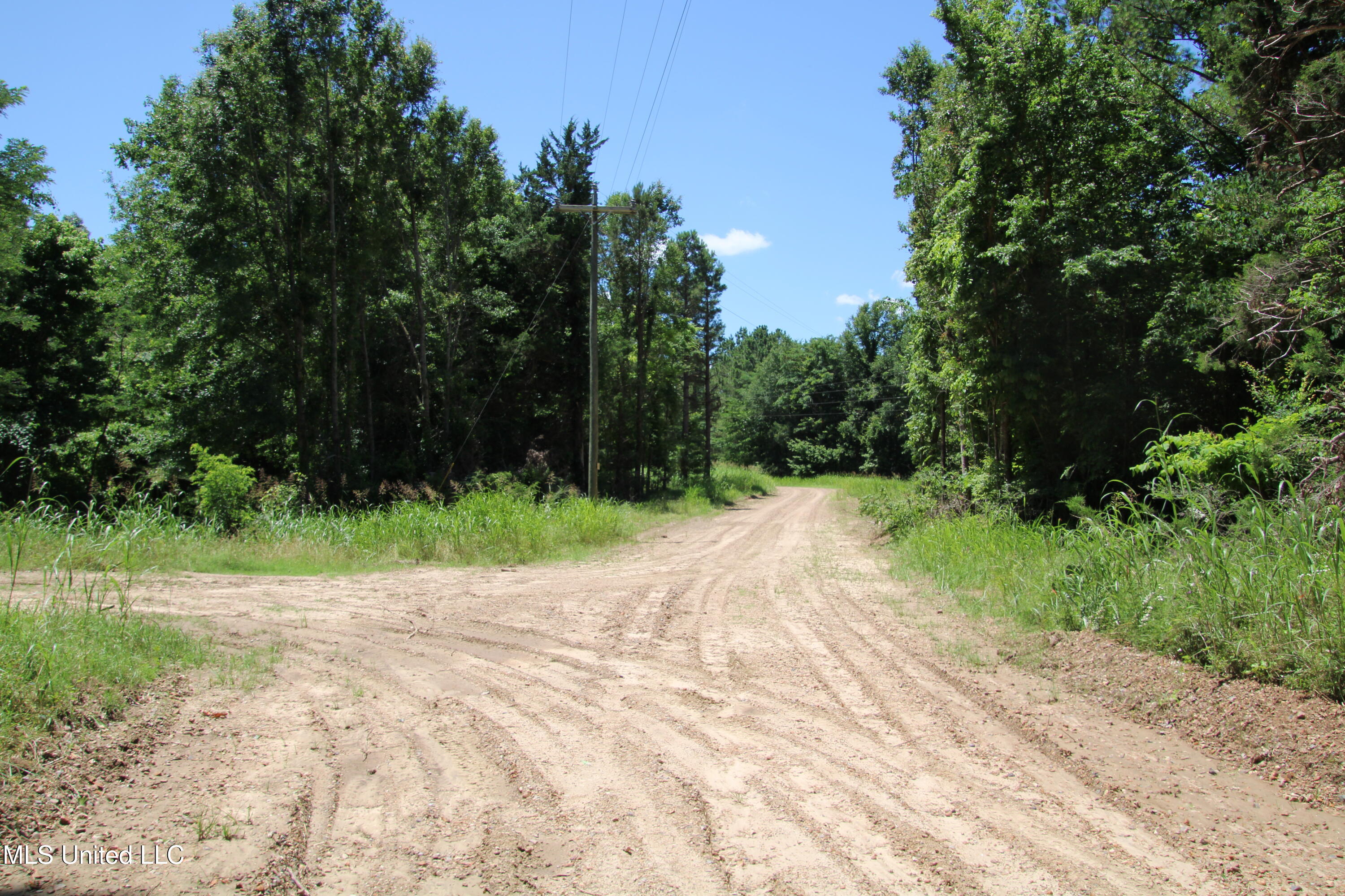 Perry Creek Road Property Photo 4