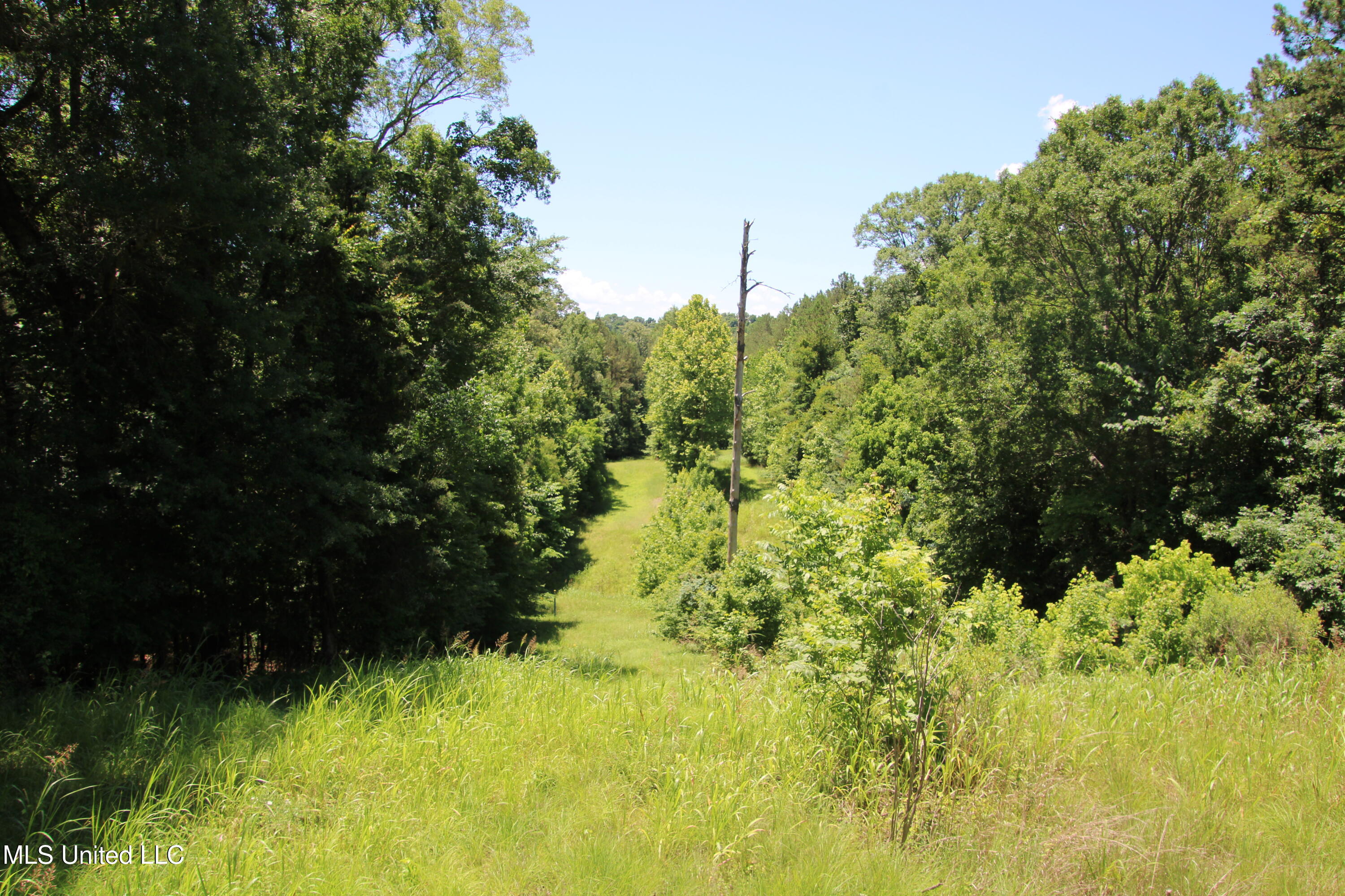 Perry Creek Road Property Photo 5