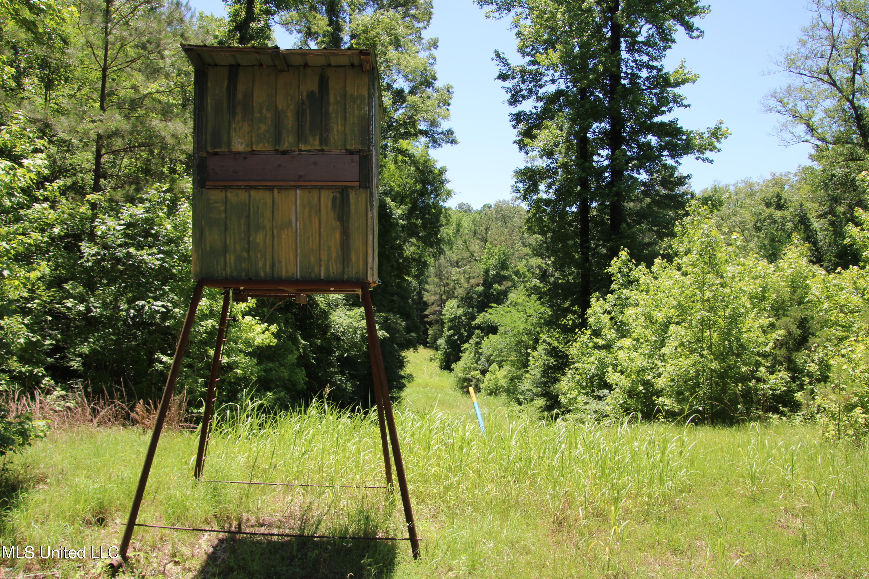 Perry Creek Road Property Photo 7