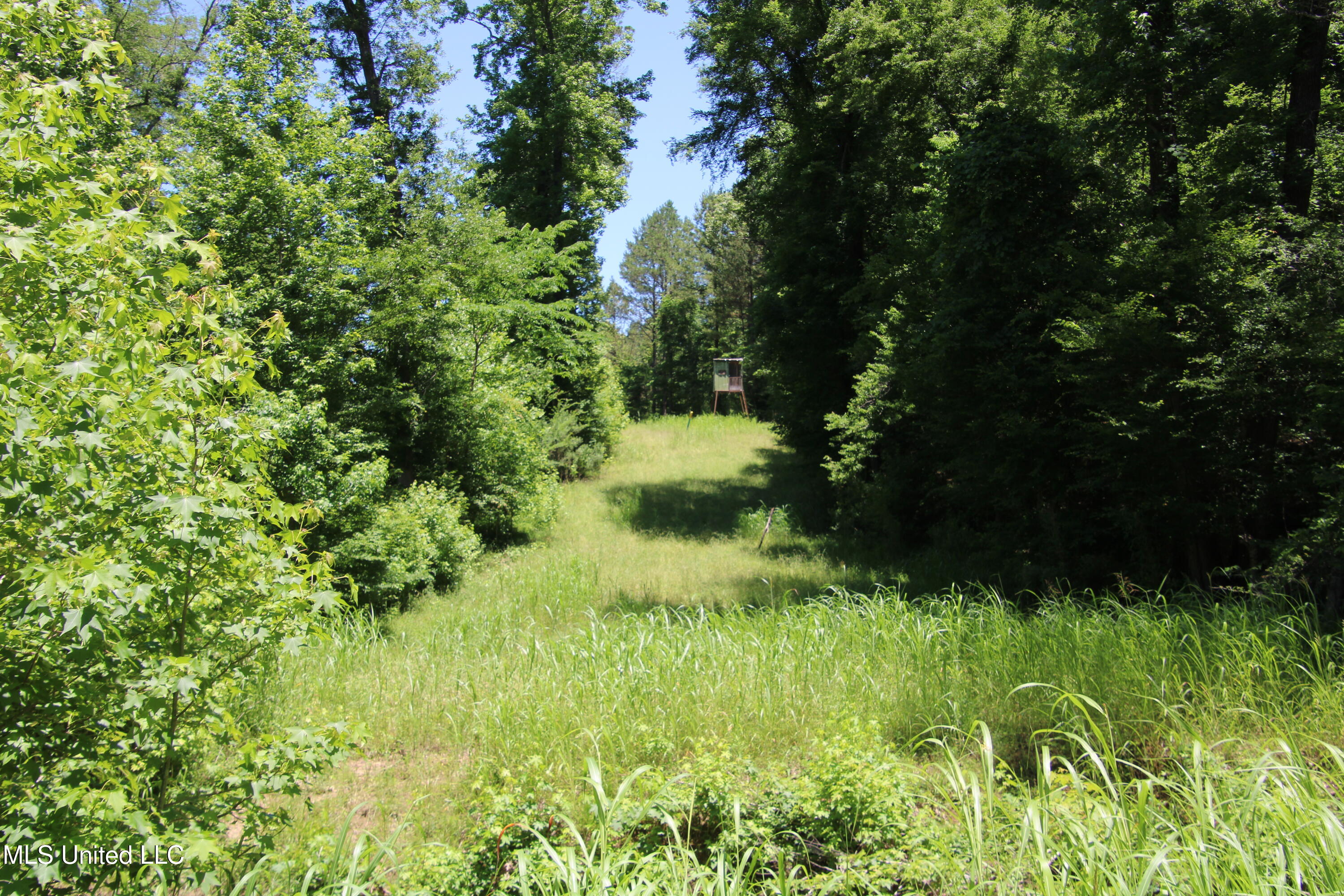 Perry Creek Road Property Photo 9
