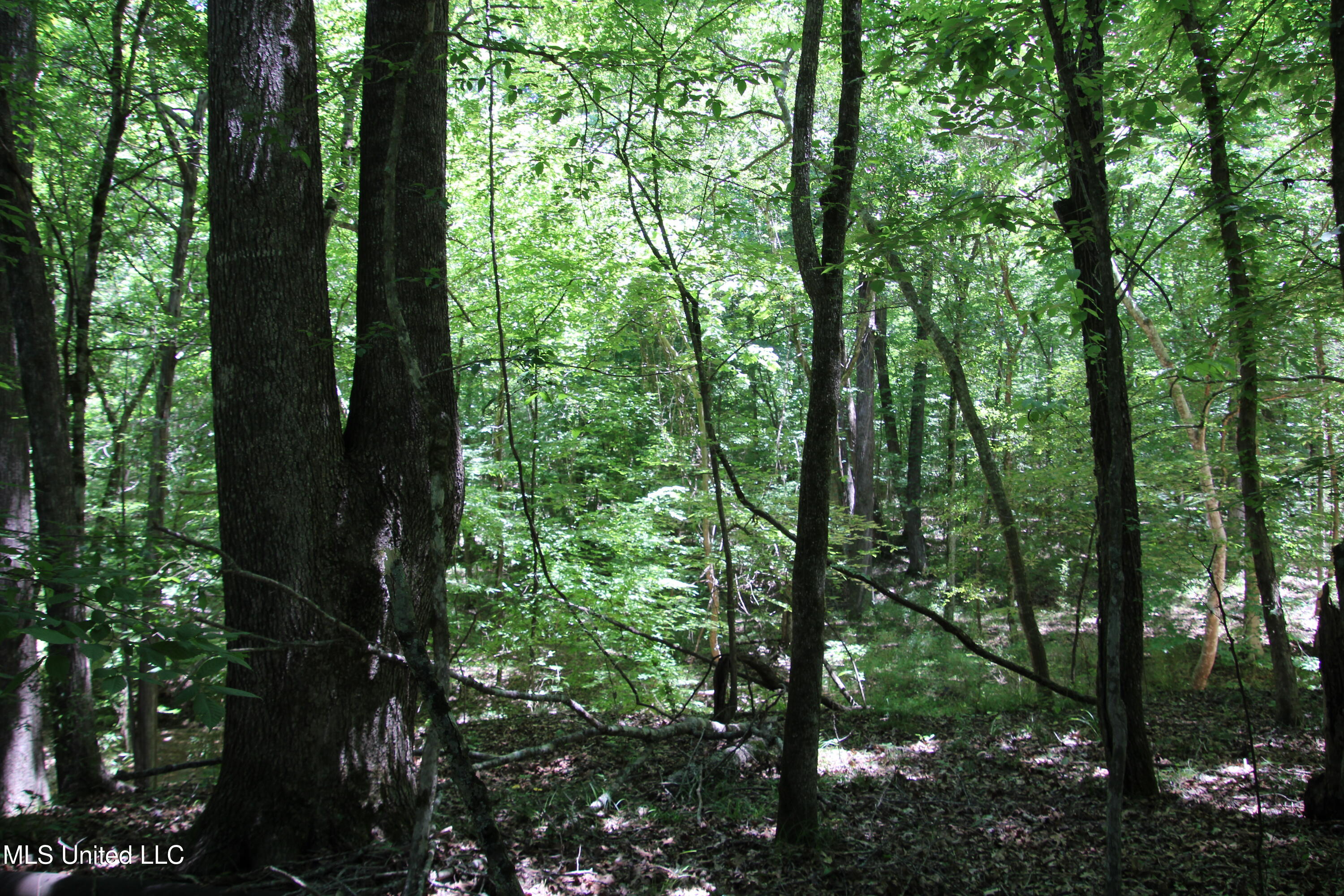 Perry Creek Road Property Photo 11