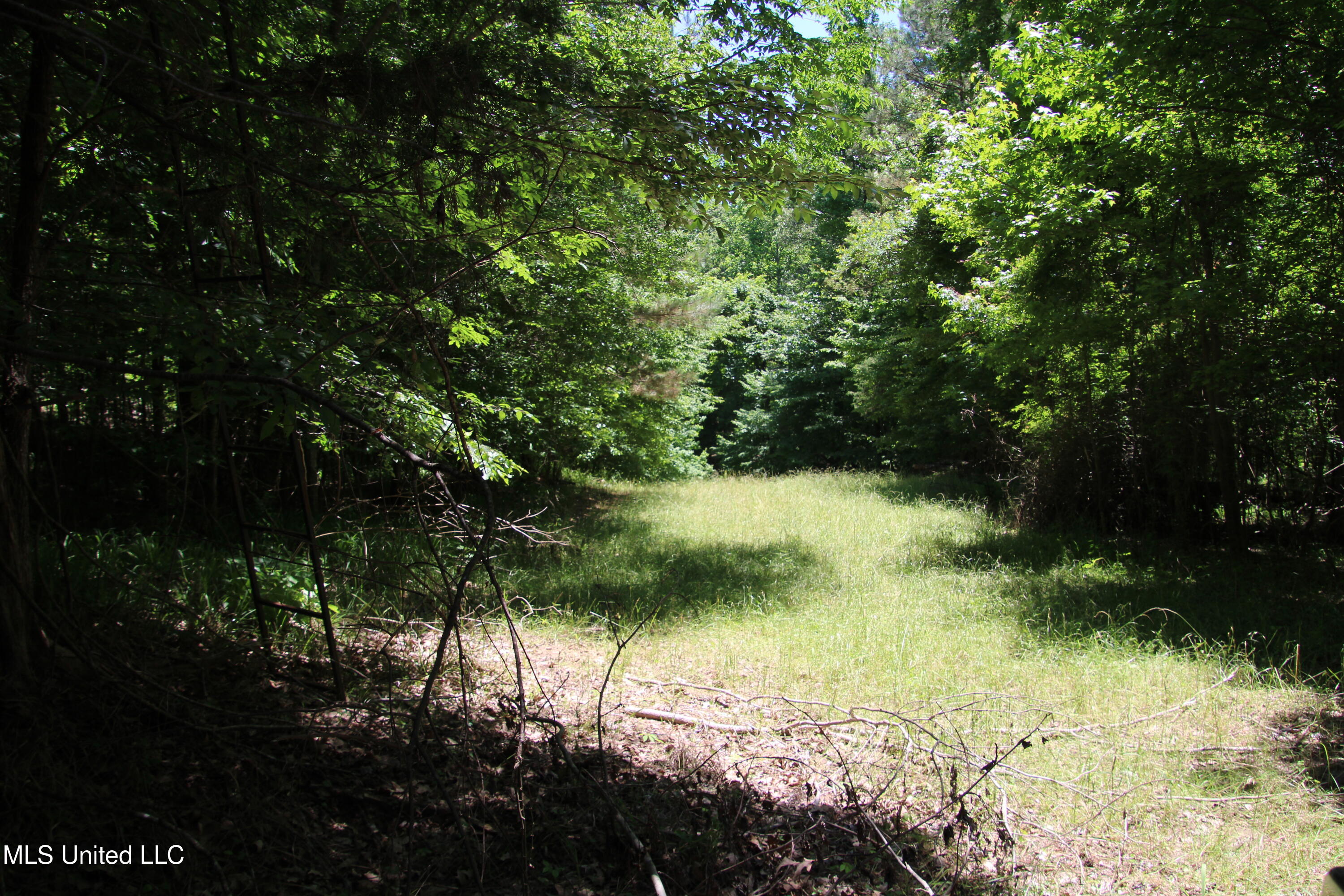 Perry Creek Road Property Photo 12