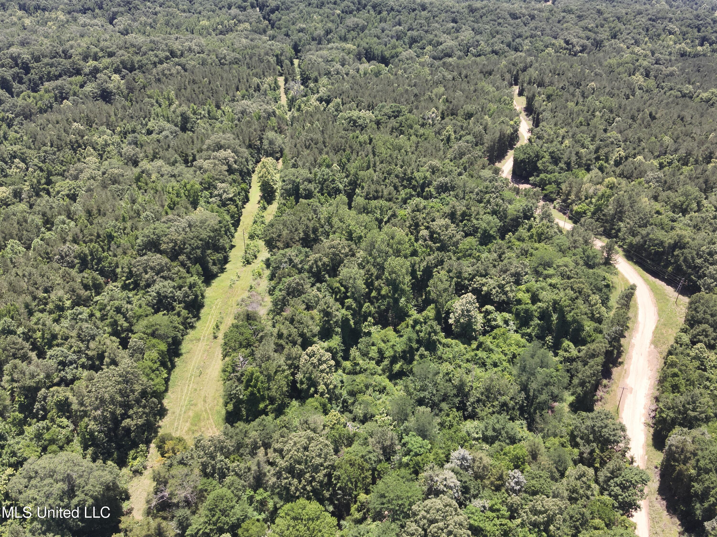 Perry Creek Road Property Photo 15