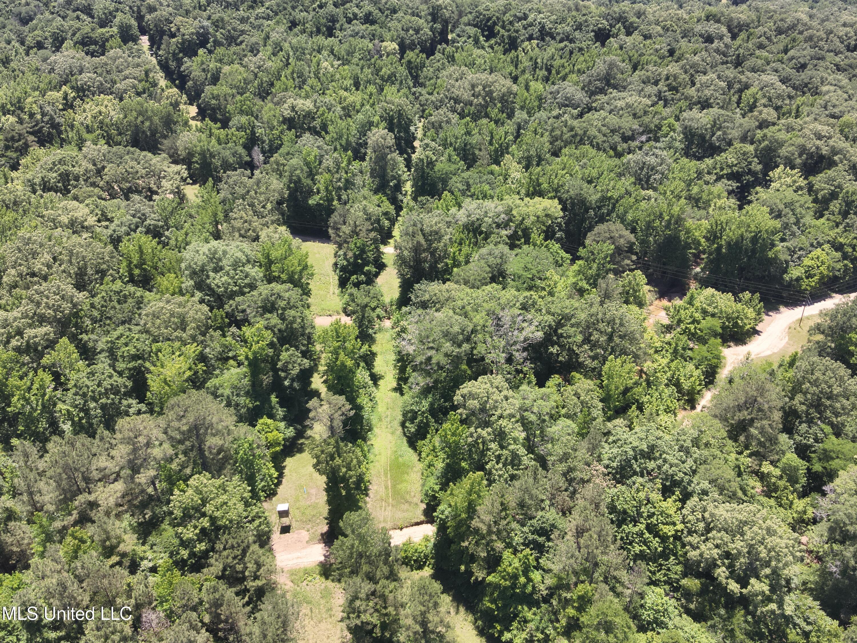 Perry Creek Road Property Photo 16
