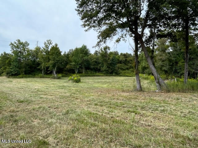 0 Judkins Road Property Photo 2