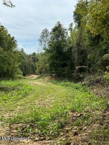 0 Judkins Road Property Photo 3