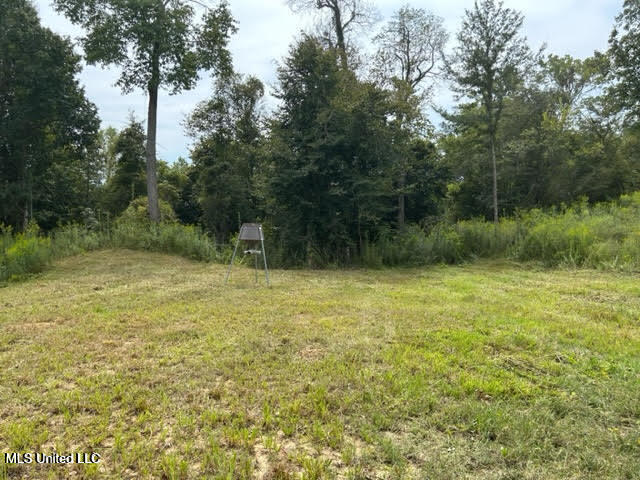 0 Judkins Road Property Photo 4
