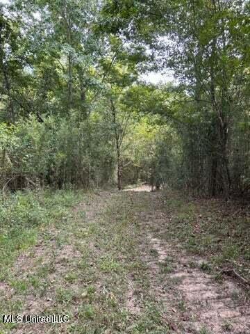 0 Judkins Road Property Photo 5