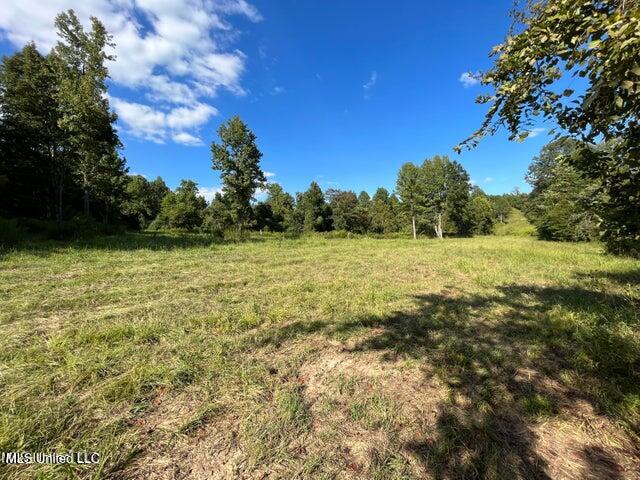 0 Judkins Road Property Photo 10