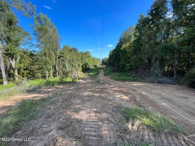 0 Judkins Road Property Photo 11