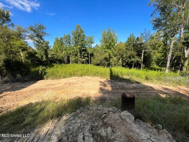 0 Judkins Road Property Photo 13